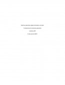 Sistemas operativos Apple orientados a servidor