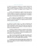 Salto del norte. PERFIL DEL EMIGRANTE: