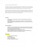 Tema de ¿Cuál creen que es la misión de “Rinde”?