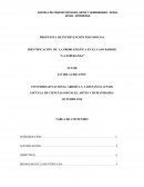 PROPUESTA DE INTERVENCIÓN PSICOSOCIAL IDENTIFICACIÓN DE LA PROBLEMÁTICA EN EL CASO BARRIO “LA ESPERANZA