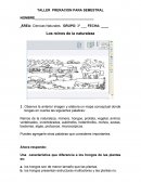 Observa la anterior imagen y elabora un mapa conceptual donde tengas en cuenta las siguientes palabras: Estudiando ciencias naturales 3