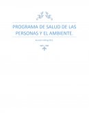 El nuevo Programa de salud de las personas y el ambiente.