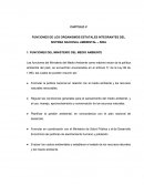 CAPITULO V FUNCIONES DE LOS ORGANISMOS ESTATALES INTEGRANTES DEL SISTEMA NACIONAL AMBIENTAL – SINA