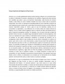 Ensato sobre modelo economico