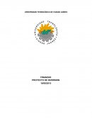 Como seria un Proyecto Inversion