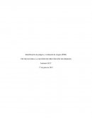 TÉCNICAS PARA LA GESTIÓN DE PREVENCIÓN DE RIESGOS