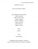 Transferencia De Masa