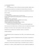 Actividades ritmicas En un sentido general