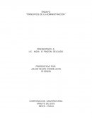 Ensayo