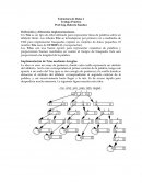 Estructura de Datos 2 Trabajo Práctico