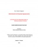 Produccion de pepino