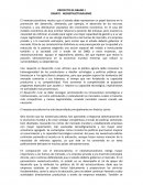 Ensaoy de Neoestructuralismo