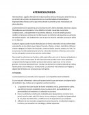 Resumen