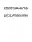 Ensayo “La adopcion igualitaria”