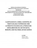 Clasificacion de la semilla ancestralde tomate (Solanum Lycopersicum) como alternativa ecológica en la producción agroalimentaria del sector saetal