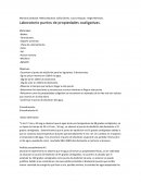 Química Disoluciones