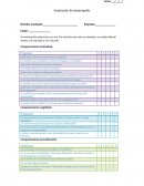 Formato evaluacion de desempeño