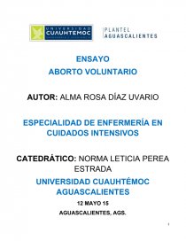 Ensayo aborto ESPECIALIDAD DE ENFERMERÍA EN CUIDADOS INTENSIVOS. Página 1