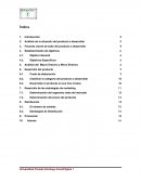 Análisis del Macro Entorno y Micro Entorno