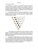 Taxonomia