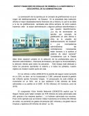 ENSAYO ESSALUD EN EL PERU