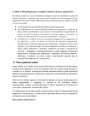 Metodología para el análisis sistémico de una organización