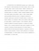 LA PROTECCION DE DERECHOS