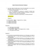 Sistema de produccion ¿Cual es su productividad?