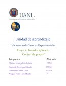 Trabajo de pesticida de segundo semestre de preparatoria