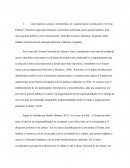 ¿Qué aspectos, normas, instrumentos, etc. caracterizan a la institución o Servicio Público?