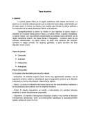 La pelvis (pelvis PNA) es la región anatómica más inferior del tronco