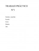 Biologia Grafica el proceso de fotosíntesis indicando partes de la planta, componentes y productos implicados.