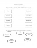 Mapa conceptual generos literarios