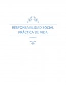 RESPONSABILIDAD PRACTICA DE VIDA