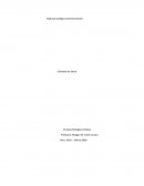 Enfermeria y su desarrollo en la actualidad