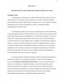 Práctica de aminoacidos