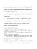 El sistema urinario encontramos parte o gran parte ubicada en la pared posterior del abdomen que corresponde a los riñones