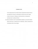 PSICOLOGÍA ORGANIZACIONAL CONCLUSIONES