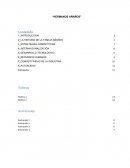 LOS HERMANOS AÑAÑOS