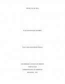 Proyecto de mi vida