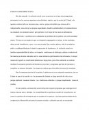 ENSAYO ARGUMENTATIVO Inclusion social