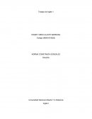 ¿Qué clase de información se encuentra en el foro de noticias?