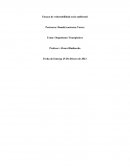 Ensayo Vulnerabilidad