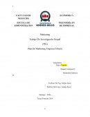 Plan de Marketing Toyota - Introduccion