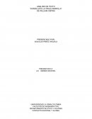 ANALISIS DE TEXTO “DONDE ESTA LA FRAJA AMARILLA”