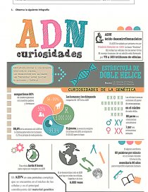 Comprension lectora. Página 1