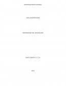 Universiad del magdalena