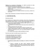 Puericultura se divide en dos etapas