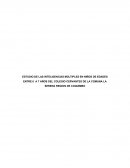 Inteligencias multiples