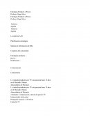 Estrategia Precio y Producto A3D